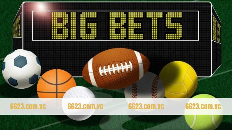 Giới thiệu bộ sưu tập các hình thức giải trí tại thể thao 