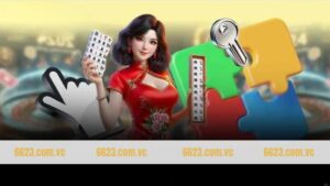 Đăng Nhập 6623 - Quy Trình Truy Cập Và Sử Dụng Dịch Vụ