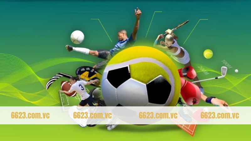 Giới thiệu đôi chút về thể thao 6623