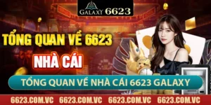 Giới thiệu tổng quan về nhà cái 6623