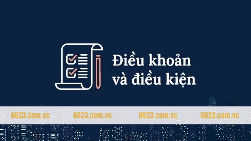 Nội dung về các điều khoản và điều kiện 6623 